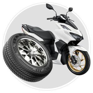 موتر و موتوسایکل