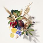 د ویښتو او نوکانو د تقویت لپاره د فیتو ګولۍ