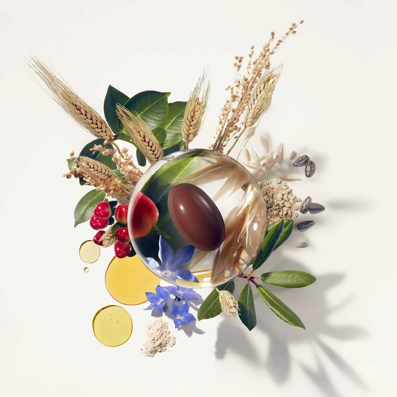 د ویښتو او نوکانو د تقویت لپاره د فیتو ګولۍ