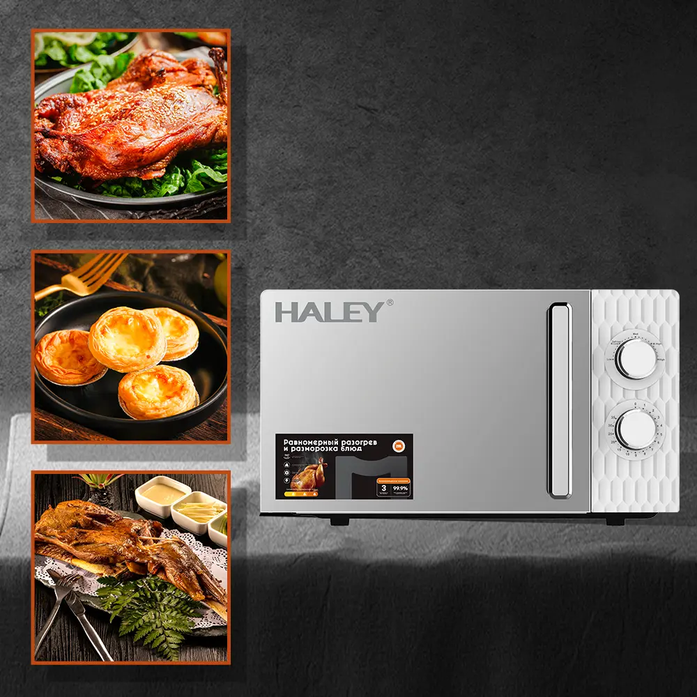 مایکروویو هالی