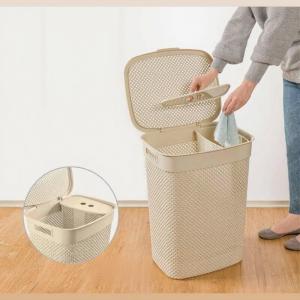 سبد لباس دو خانه حرفه ای لیمون