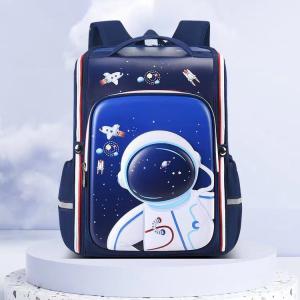 بکس پشتی مکتبی مدل آسترونات-پک