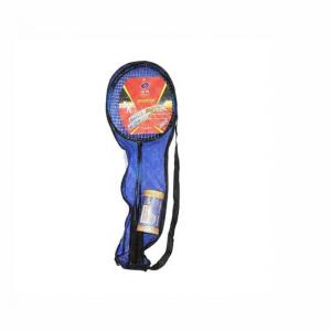 ست بدمینتون همراه با توپ و کاور