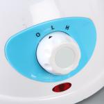 بخار صورت مسلکی